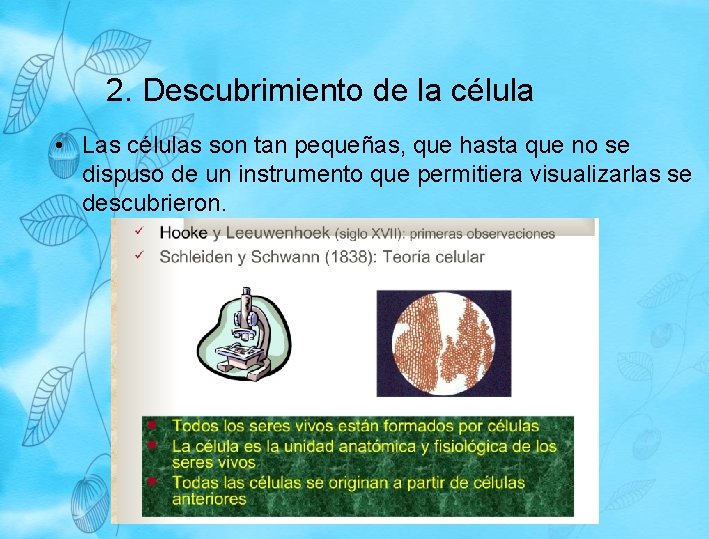 2. Descubrimiento de la célula • Las células son tan pequeñas, que hasta que 2. Descubrimiento de la célula • Las células son tan pequeñas, que hasta que