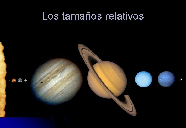 Los tamaños relativos 