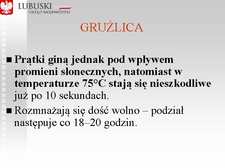 GRUŹLICA n Prątki giną jednak pod wpływem promieni słonecznych, natomiast w temperaturze 75°C stają