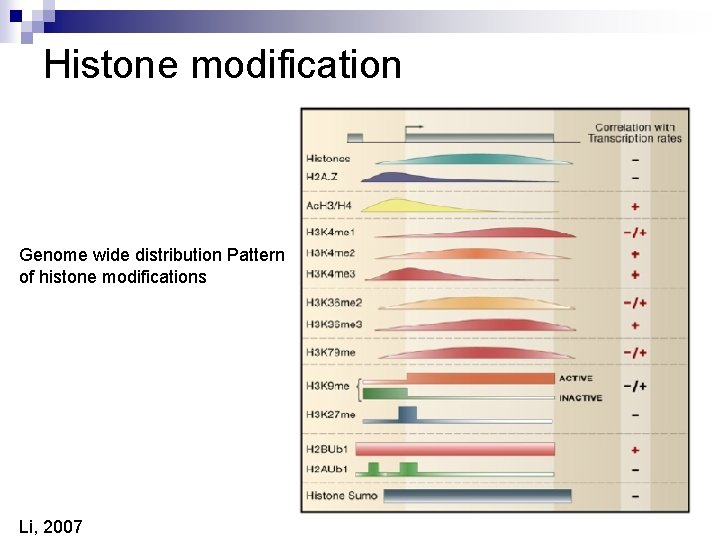 Histone modification Genome wide distribution Pattern of histone modifications Li, 2007 