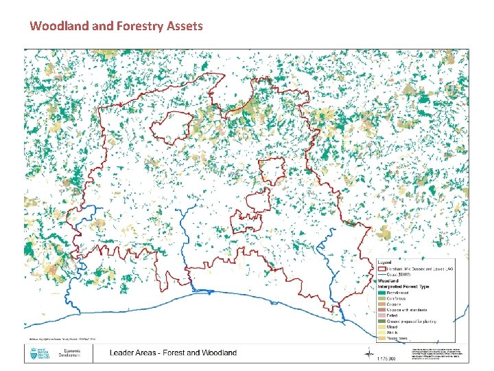 Woodland Forestry Assets 