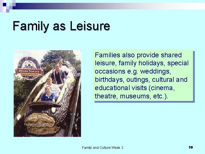 Family as Leisure Families also provide shared leisure, family holidays, special occasions e. g.