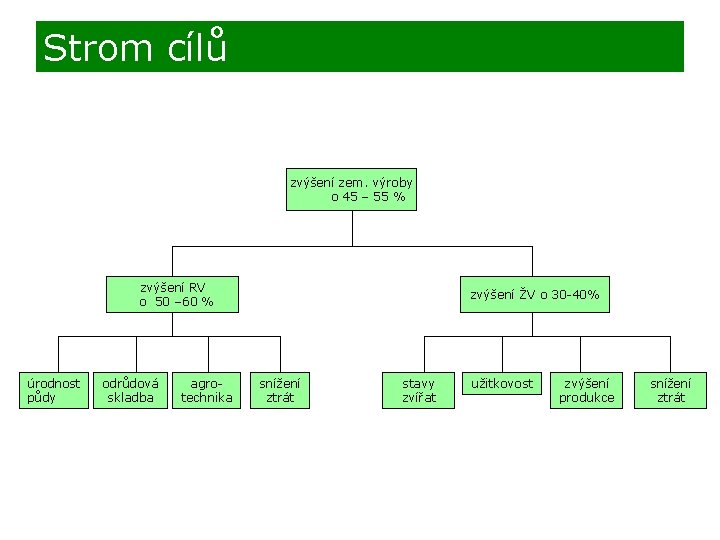 Strom cílů zvýšení zem. výroby o 45 – 55 % zvýšení RV o 50