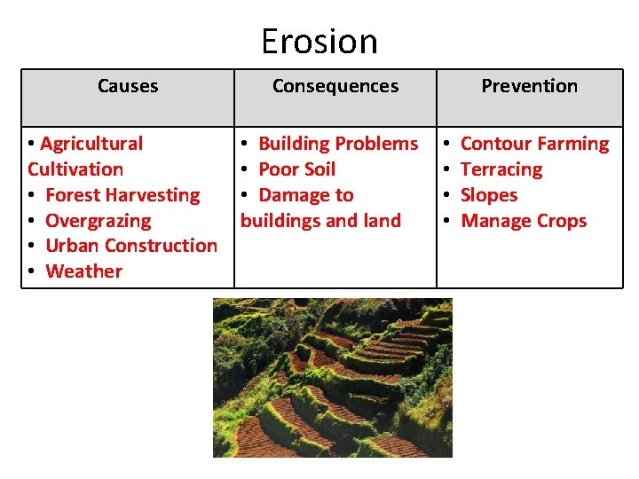 Erosion Causes Consequences • Agricultural Cultivation • Forest Harvesting • Overgrazing • Urban Construction
