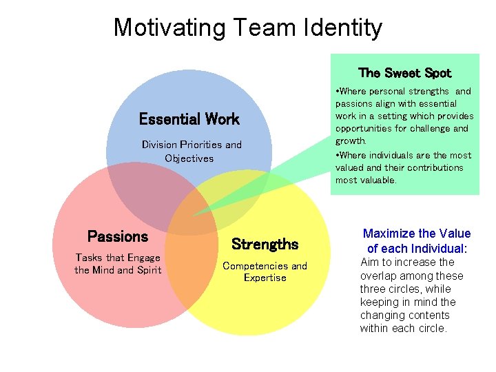 Motivating Team Identity The Sweet Spot Essential Work Division Priorities and Objectives Passions Tasks