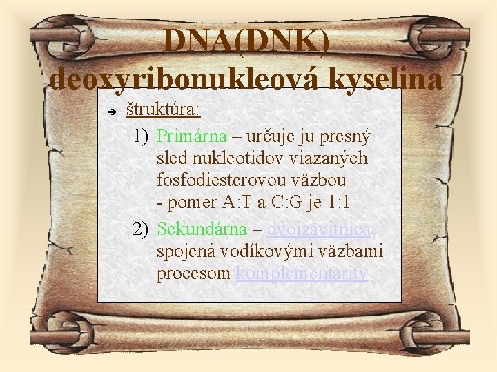 DNA(DNK) deoxyribonukleová kyselina štruktúra: 1) Primárna – určuje ju presný sled nukleotidov viazaných fosfodiesterovou