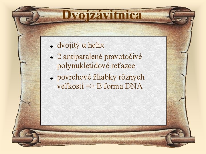 Dvojzávitnica dvojitý α helix 2 antiparalené pravotočivé polynukletidové reťazce povrchové žliabky rôznych veľkostí =>