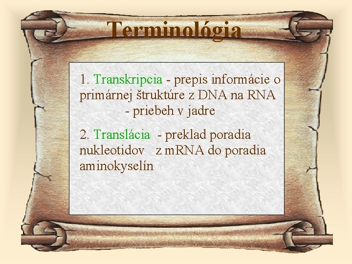Terminológia 1. Transkripcia - prepis informácie o primárnej štruktúre z DNA na RNA -