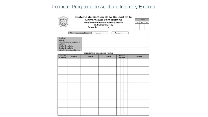 Formato: Programa de Auditoría Interna y Externa 