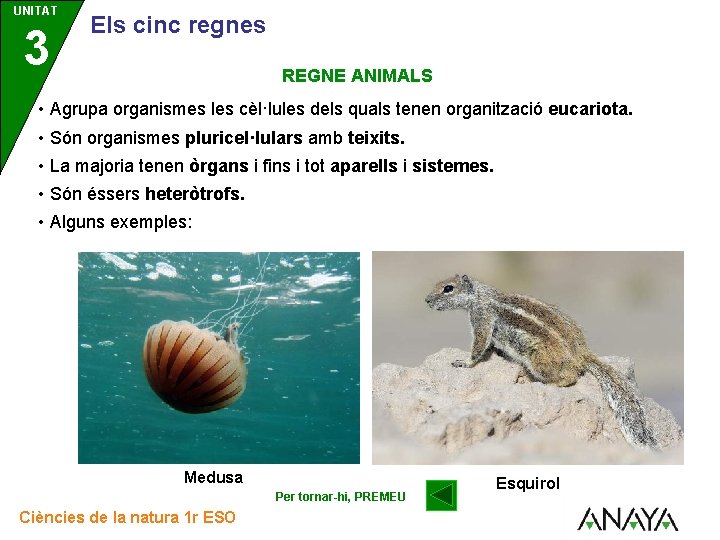 UNITAT 3 Els cinc regnes REGNE ANIMALS • Agrupa organismes les cèl·lules dels quals