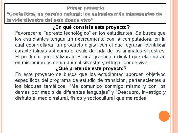 ¿En qué consiste este proyecto? Favorecer el “apresto tecnológico” en los estudiantes. Se busca