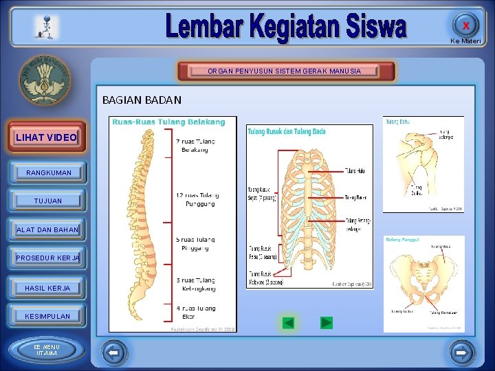 X Ke Materi ORGAN PENYUSUN SISTEM GERAK MANUSIA BAGIAN BADAN LIHAT VIDEO RANGKUMAN TUJUAN