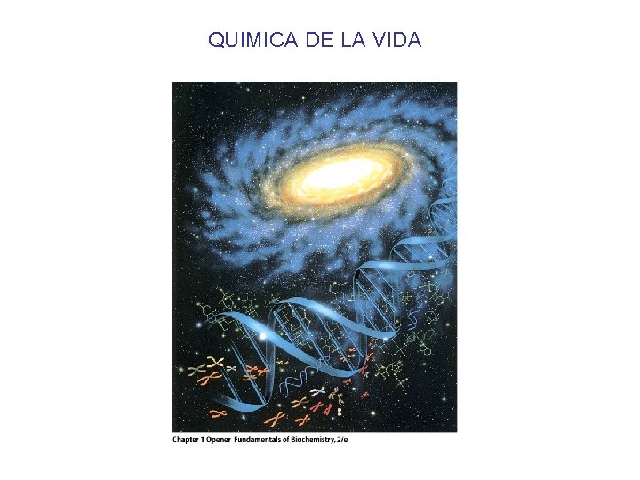 QUIMICA DE LA VIDA 