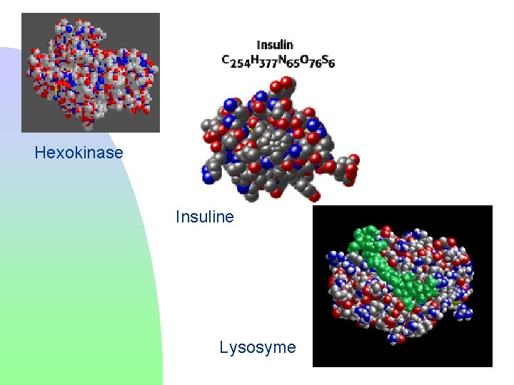 Hexokinase Insuline Lysosyme 