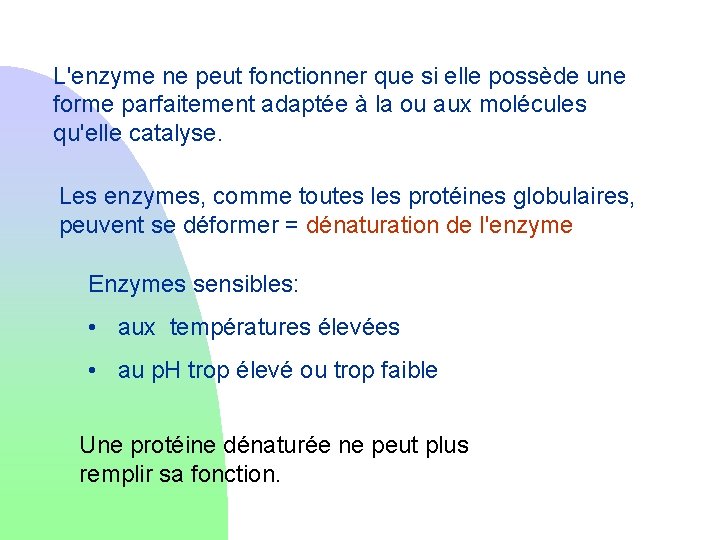L'enzyme ne peut fonctionner que si elle possède une forme parfaitement adaptée à la