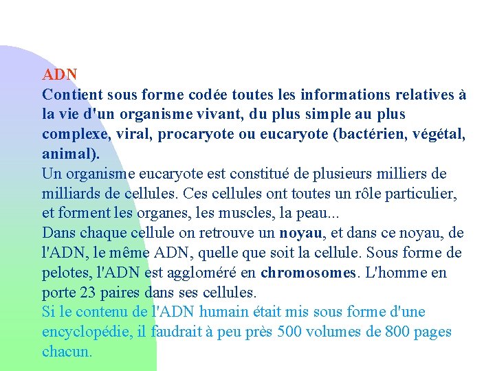 ADN Contient sous forme codée toutes les informations relatives à la vie d'un organisme