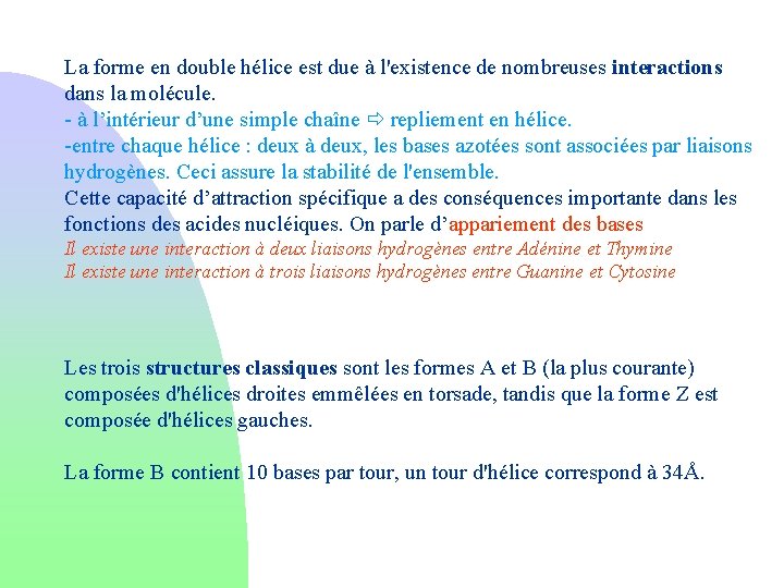 La forme en double hélice est due à l'existence de nombreuses interactions dans la