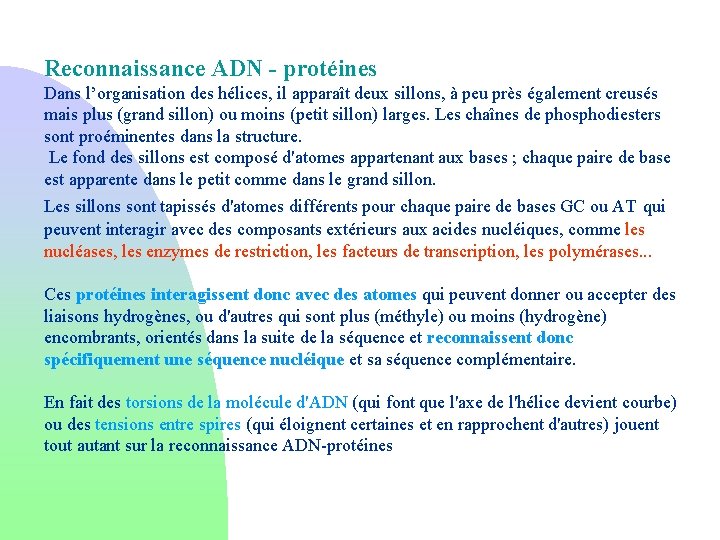 Reconnaissance ADN - protéines Dans l’organisation des hélices, il apparaît deux sillons, à peu