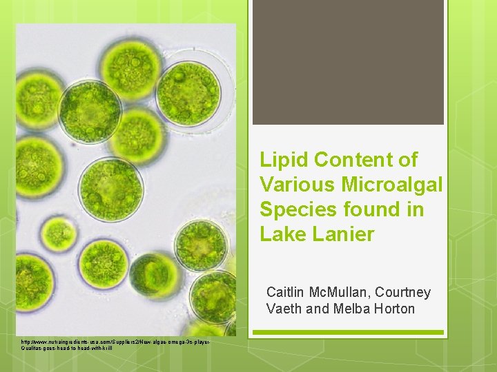 Lipid Content of Various Microalgal Species found in Lake Lanier Caitlin Mc. Mullan, Courtney