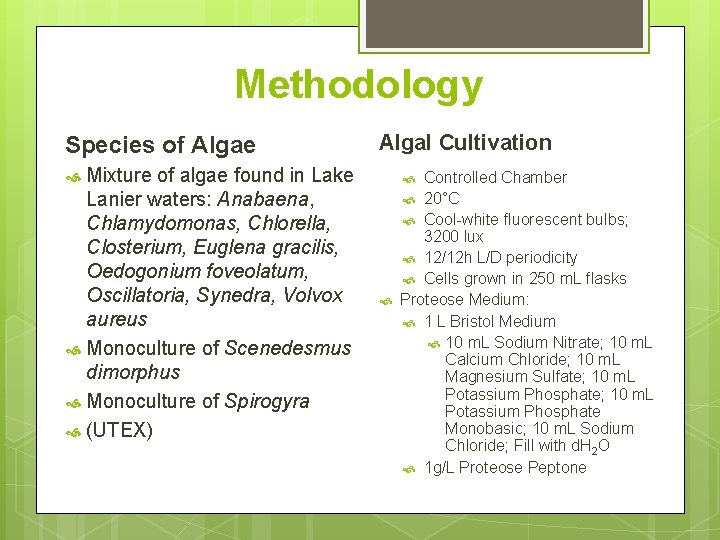 Methodology Species of Algae Mixture of algae found in Lake Lanier waters: Anabaena, Chlamydomonas,
