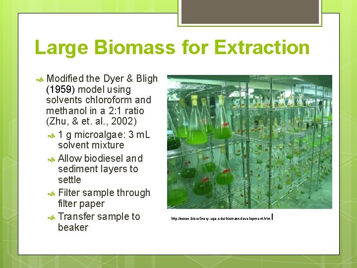 Large Biomass for Extraction Modified the Dyer & Bligh (1959) model using solvents chloroform