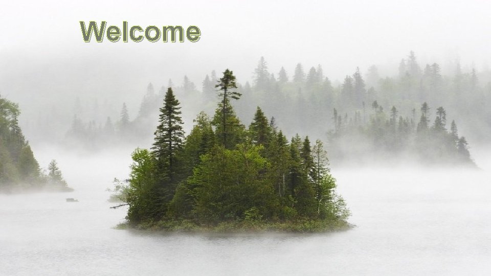 Welcome 