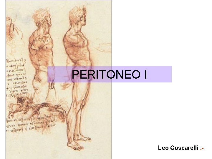 PERITONEO I Leo Coscarelli. - PERITONEO I Leo Coscarelli. -