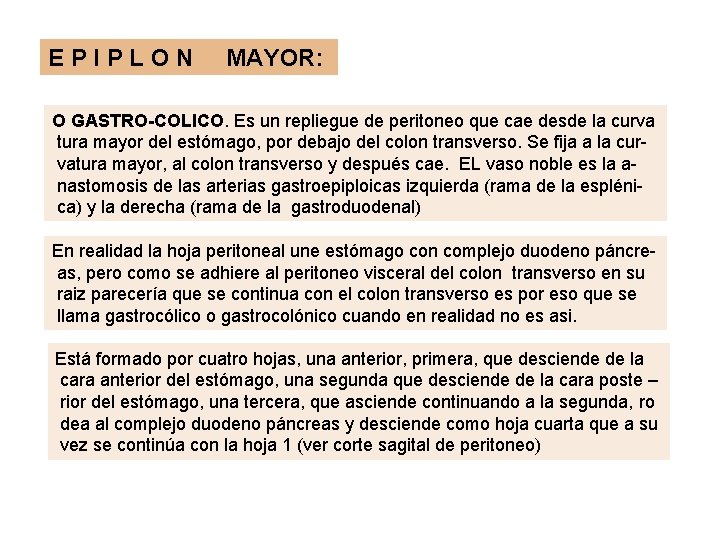 EPIPLON MAYOR: O GASTRO-COLICO. Es un repliegue de peritoneo que cae desde la curva EPIPLON MAYOR: O GASTRO-COLICO. Es un repliegue de peritoneo que cae desde la curva