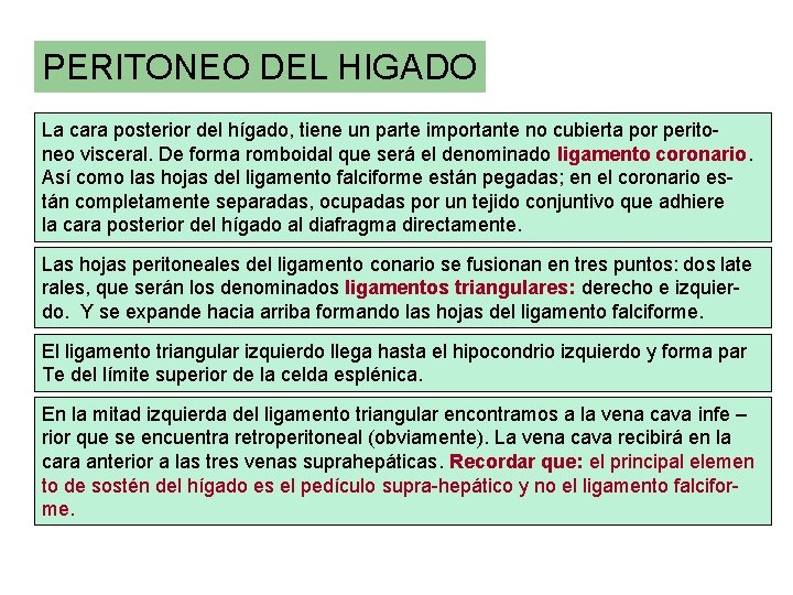 PERITONEO DEL HIGADO La cara posterior del hígado, tiene un parte importante no cubierta PERITONEO DEL HIGADO La cara posterior del hígado, tiene un parte importante no cubierta