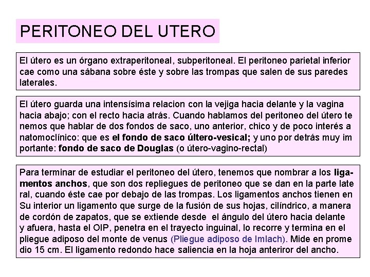 PERITONEO DEL UTERO El útero es un órgano extraperitoneal, subperitoneal. El peritoneo parietal inferior PERITONEO DEL UTERO El útero es un órgano extraperitoneal, subperitoneal. El peritoneo parietal inferior