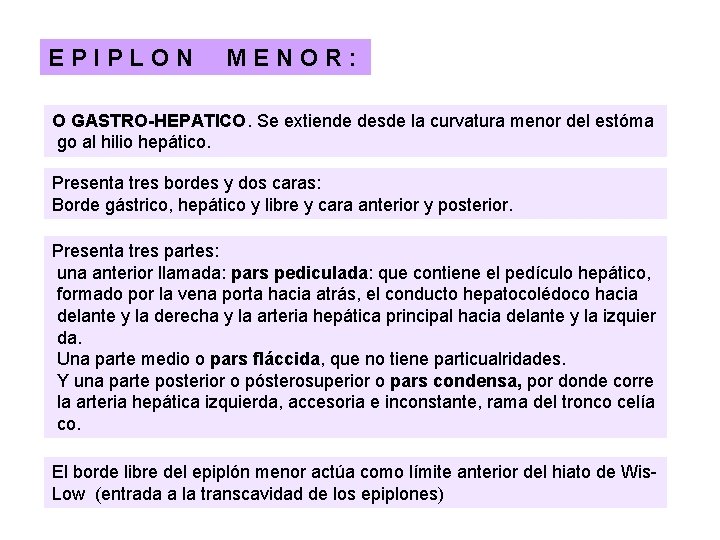 EPIPLON MENOR: O GASTRO-HEPATICO. Se extiende desde la curvatura menor del estóma go al EPIPLON MENOR: O GASTRO-HEPATICO. Se extiende desde la curvatura menor del estóma go al