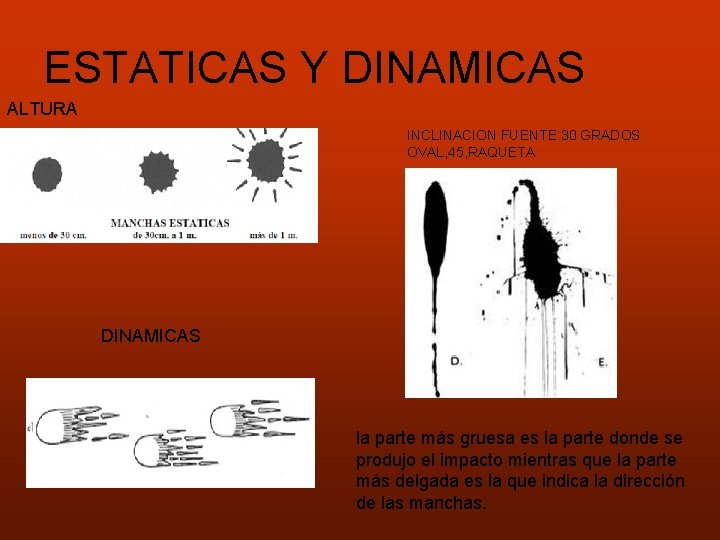 ESTATICAS Y DINAMICAS ALTURA INCLINACION FUENTE: 30 GRADOS OVAL, 45, RAQUETA DINAMICAS la parte