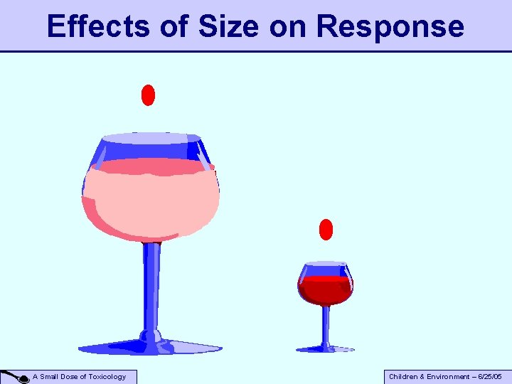 Effects of Size on Response A Small Dose of Toxicology Children & Environment –