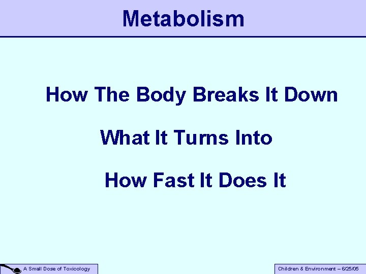 Metabolism How The Body Breaks It Down What It Turns Into How Fast It