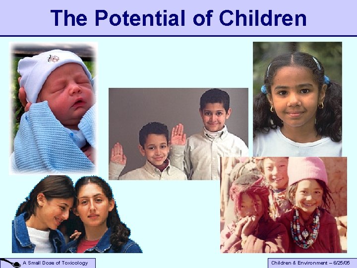 The Potential of Children A Small Dose of Toxicology Children & Environment – 6/25/05