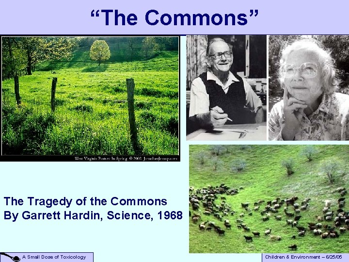 “The Commons” The Tragedy of the Commons By Garrett Hardin, Science, 1968 A Small