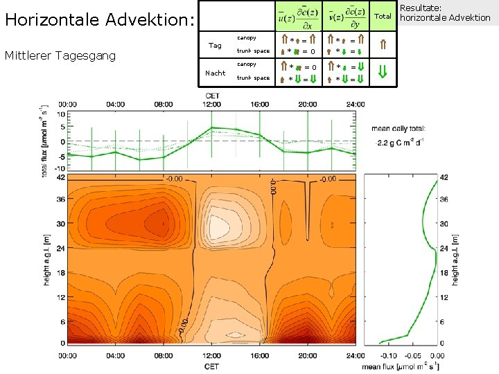 Horizontale Advektion: Mittlerer Tagesgang Total Tag Nacht canopy * = * = trunk space