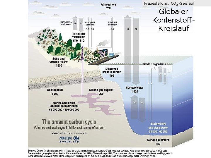 Fragestellung: CO 2 Kreislauf Globaler Kohlenstoff. Kreislauf 