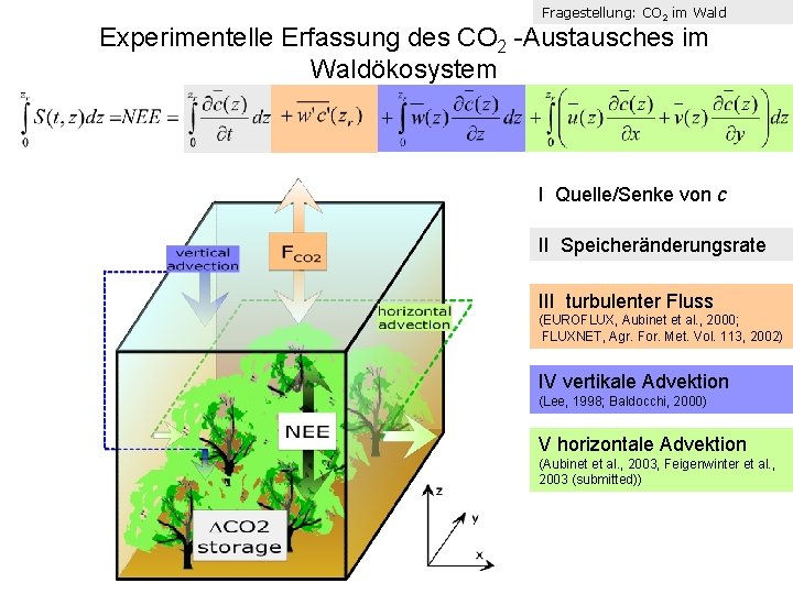 Fragestellung: CO 2 im Wald Experimentelle Erfassung des CO 2 -Austausches im Waldökosystem I