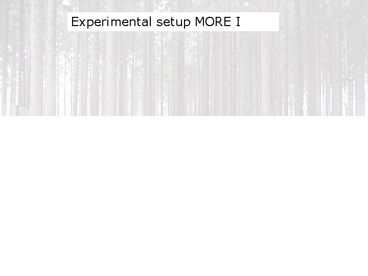 Experimental setup MORE I 