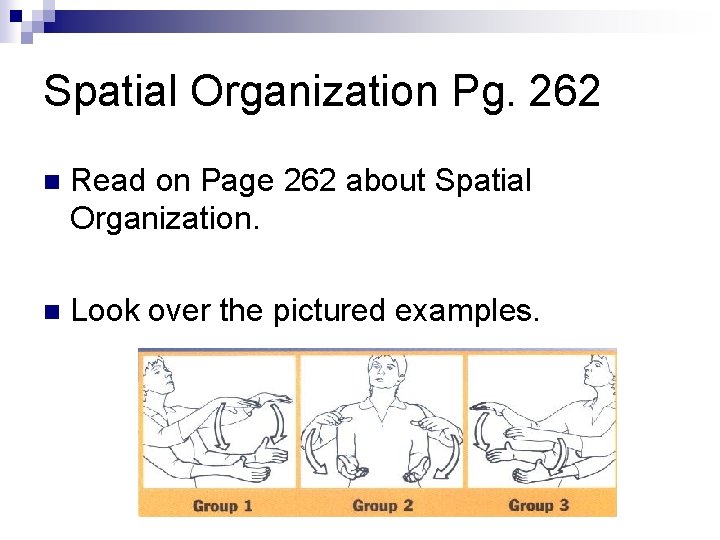 Spatial Organization Pg. 262 n Read on Page 262 about Spatial Organization. n Look Spatial Organization Pg. 262 n Read on Page 262 about Spatial Organization. n Look