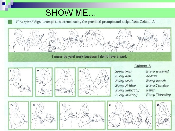 SHOW ME… SHOW ME…