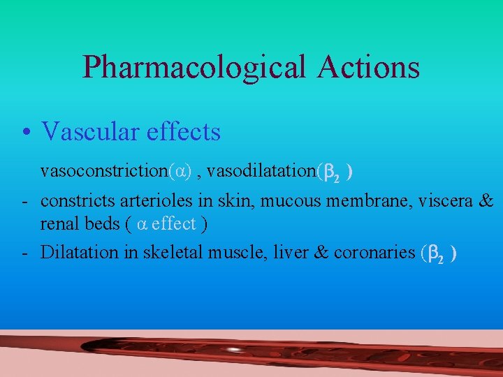 Pharmacological Actions • Vascular effects vasoconstriction(α) , vasodilatation( 2 ) - constricts arterioles in