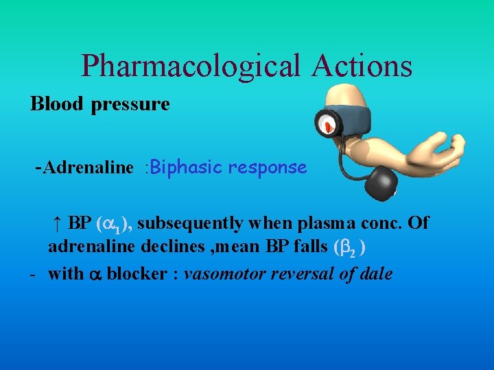 Pharmacological Actions Blood pressure -Adrenaline : Biphasic response ↑ BP ( 1), subsequently when