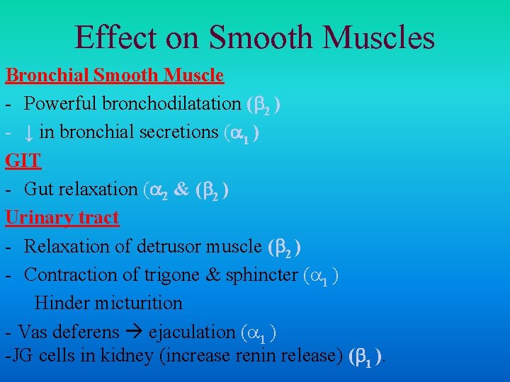 Effect on Smooth Muscles Bronchial Smooth Muscle - Powerful bronchodilatation ( 2 ) -