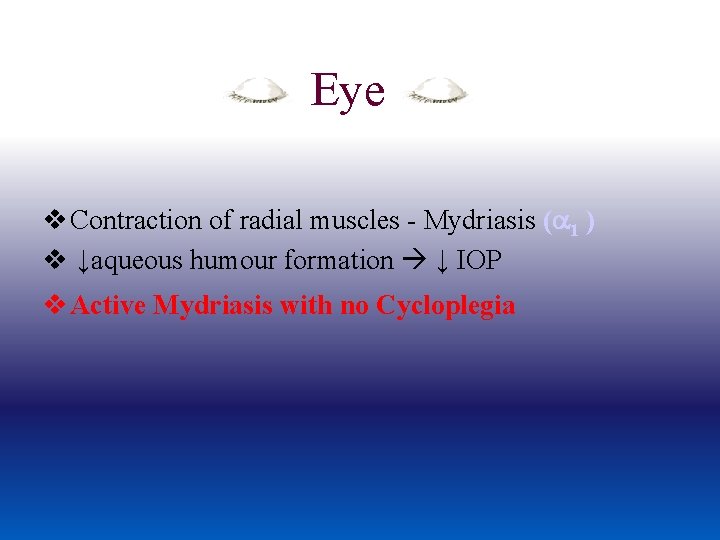 Eye v Contraction of radial muscles - Mydriasis ( 1 ) v ↓aqueous humour