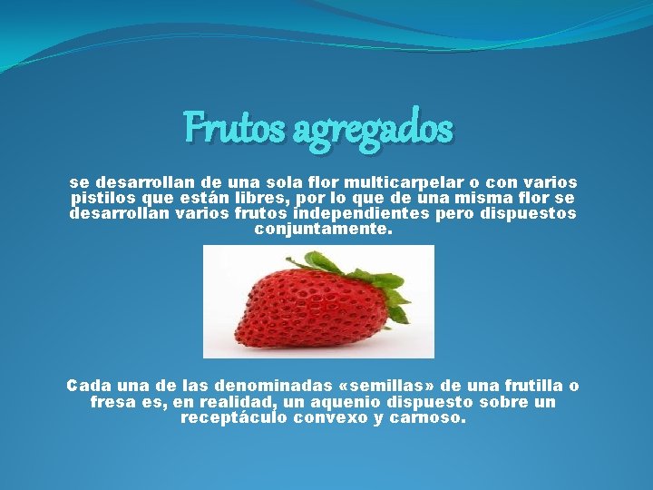 Frutos agregados se desarrollan de una sola flor multicarpelar o con varios pistilos que