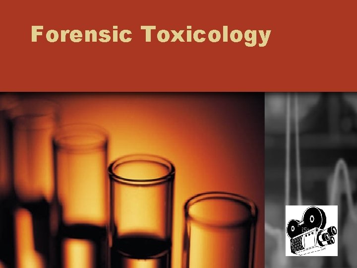 Forensic Toxicology 