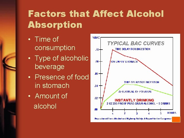 Factors that Affect Alcohol Absorption • Time of consumption • Type of alcoholic beverage
