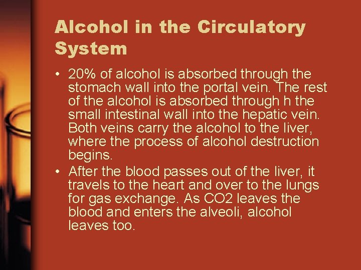Alcohol in the Circulatory System • 20% of alcohol is absorbed through the stomach